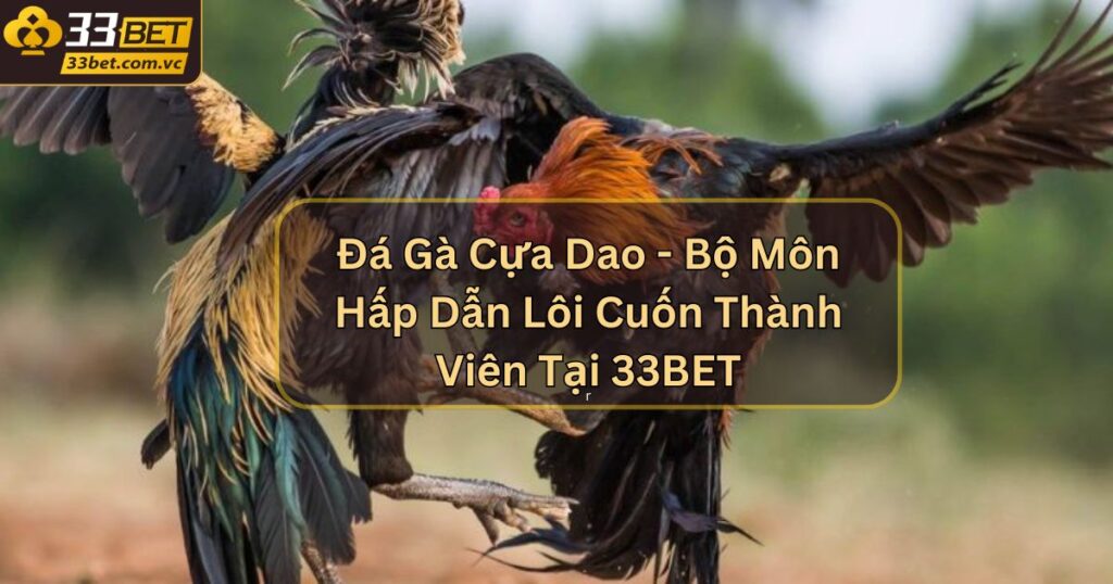Đá Gà Cựa Dao - Bộ Môn Hấp Dẫn Lôi Cuốn Thành Viên Tại 33BET 1 Đá Gà Cựa Dao - Bộ Môn Hấp Dẫn Lôi Cuốn Thành Viên Tại 33BET